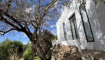 zijkant boom huis.jpeg